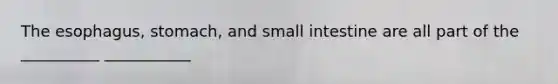 <a href='https://www.questionai.com/knowledge/kSjVhaa9qF-the-esophagus' class='anchor-knowledge'>the esophagus</a>, stomach, and small intestine are all part of the __________ ___________