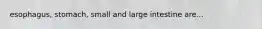 esophagus, stomach, small and large intestine are...