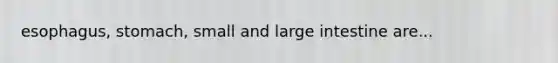 esophagus, stomach, small and large intestine are...