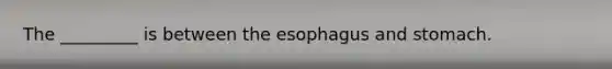 The _________ is between the esophagus and stomach.