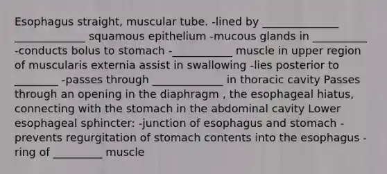 Esophagus straight, muscular tube. -lined by ______________ _____________ squamous epithelium -mucous glands in __________ -conducts bolus to stomach -___________ muscle in upper region of muscularis externia assist in swallowing -lies posterior to ________ -passes through _____________ in thoracic cavity Passes through an opening in the diaphragm , the esophageal hiatus, connecting with the stomach in the abdominal cavity Lower esophageal sphincter: -junction of esophagus and stomach -prevents regurgitation of stomach contents into the esophagus -ring of _________ muscle