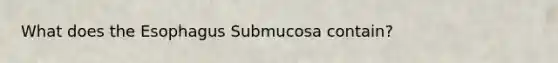 What does the Esophagus Submucosa contain?