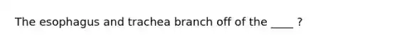 <a href='https://www.questionai.com/knowledge/kSjVhaa9qF-the-esophagus' class='anchor-knowledge'>the esophagus</a> and trachea branch off of the ____ ?