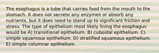 The esophagus is a tube that carries food from the mouth to the stomach. It does not secrete any enzymes or absorb any nutrients, but it does need to stand up to significant friction and stress. The type of epithelium most likely lining the esophagus would be A) transitional epithelium. B) cuboidal epithelium. C) simple squamous epithelium. D) stratified squamous epithelium. E) simple columnar epithelium.