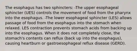 <a href='https://www.questionai.com/knowledge/kSjVhaa9qF-the-esophagus' class='anchor-knowledge'>the esophagus</a> has two sphincters: -The upper esophageal sphincter (UES) controls the movement of food from <a href='https://www.questionai.com/knowledge/ktW97n6hGJ-the-pharynx' class='anchor-knowledge'>the pharynx</a> into the esophagus. -The lower esophageal sphincter (LES) allows passage of food from the esophagus into the stomach when relaxed. LES contraction prevents stomach acids from backing up into the esophagus. When it does not completely close, the stomach's contents can reflux (back up into the esophagus), causing heartburn or gastroesophageal reflux disease (GERD).