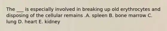 The ___ is especially involved in breaking up old erythrocytes and disposing of the cellular remains .A. spleen B. bone marrow C. lung D. heart E. kidney