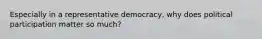 Especially in a representative democracy, why does political participation matter so much?