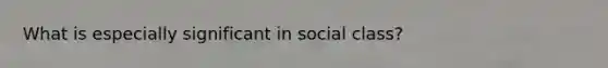 What is especially significant in social class?