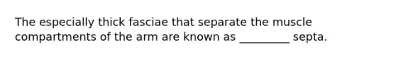 The especially thick fasciae that separate the muscle compartments of the arm are known as _________ septa.