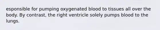 esponsible for pumping oxygenated blood to tissues all over the body. By contrast, the right ventricle solely pumps blood to the lungs.