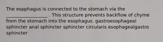 The espphagus is connected to the stomach via the __________________ . This structure prevents backflow of chyme from the stomach into the esophagus. gastroesophageal sphincter anal sphincter sphincter circularis esophagealgastro sphincter