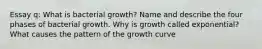 Essay q: What is bacterial growth? Name and describe the four phases of bacterial growth. Why is growth called exponential? What causes the pattern of the growth curve