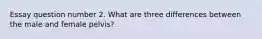 Essay question number 2. What are three differences between the male and female pelvis?