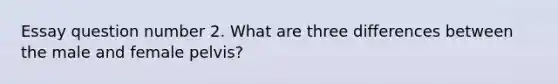 Essay question number 2. What are three differences between the male and female pelvis?