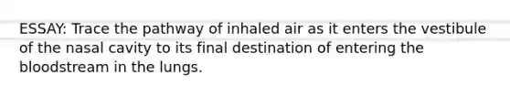 ESSAY: Trace the pathway of inhaled air as it enters the vestibule of the nasal cavity to its final destination of entering the bloodstream in the lungs.