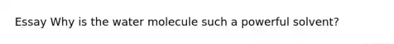 Essay Why is the water molecule such a powerful solvent?