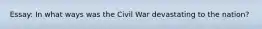 Essay: In what ways was the Civil War devastating to the nation?