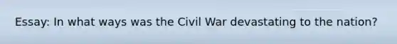 Essay: In what ways was the Civil War devastating to the nation?