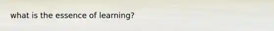 what is the essence of learning?
