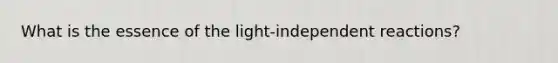 What is the essence of the light-independent reactions?