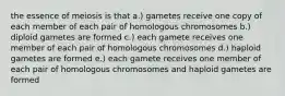 the essence of meiosis is that a.) gametes receive one copy of each member of each pair of homologous chromosomes b.) diploid gametes are formed c.) each gamete receives one member of each pair of homologous chromosomes d.) haploid gametes are formed e.) each gamete receives one member of each pair of homologous chromosomes and haploid gametes are formed