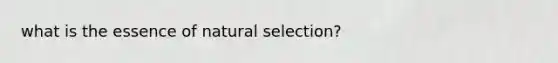 what is the essence of natural selection?