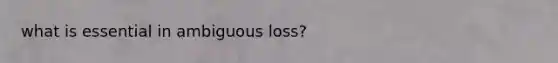 what is essential in ambiguous loss?