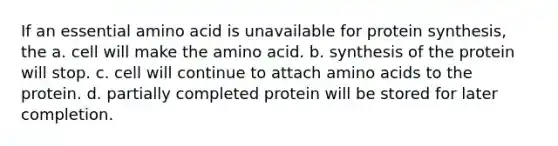 If an essential amino acid is unavailable for protein synthesis, the a. cell will make the amino acid. b. synthesis of the protein will stop. c. cell will continue to attach amino acids to the protein. d. partially completed protein will be stored for later completion.