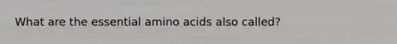 What are the essential <a href='https://www.questionai.com/knowledge/k9gb720LCl-amino-acids' class='anchor-knowledge'>amino acids</a> also called?