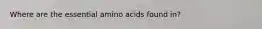 Where are the essential amino acids found in?