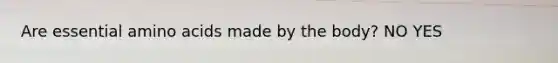 Are essential amino acids made by the body? NO YES