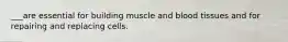 ___are essential for building muscle and blood tissues and for repairing and replacing cells.