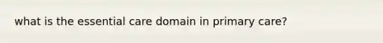 what is the essential care domain in primary care?