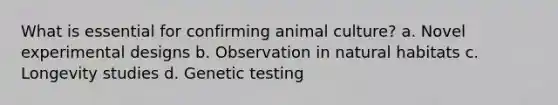 What is essential for confirming animal culture? a. Novel experimental designs b. Observation in natural habitats c. Longevity studies d. Genetic testing