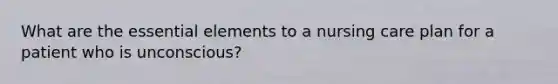 What are the essential elements to a nursing care plan for a patient who is unconscious?