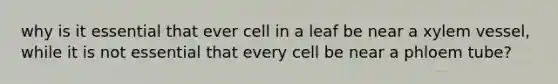 why is it essential that ever cell in a leaf be near a xylem vessel, while it is not essential that every cell be near a phloem tube?