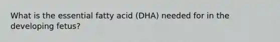 What is the essential fatty acid (DHA) needed for in the developing fetus?