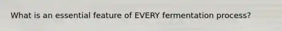 What is an essential feature of EVERY fermentation process?
