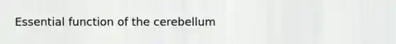 Essential function of the cerebellum