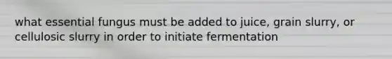 what essential fungus must be added to juice, grain slurry, or cellulosic slurry in order to initiate fermentation