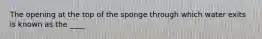 The opening at the top of the sponge through which water exits is known as the ____