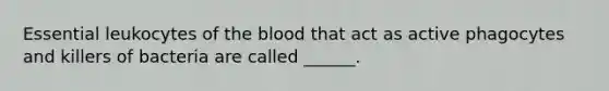 Essential leukocytes of <a href='https://www.questionai.com/knowledge/k7oXMfj7lk-the-blood' class='anchor-knowledge'>the blood</a> that act as active phagocytes and killers of bacteria are called ______.