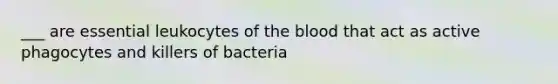 ___ are essential leukocytes of the blood that act as active phagocytes and killers of bacteria