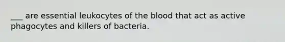 ___ are essential leukocytes of the blood that act as active phagocytes and killers of bacteria.