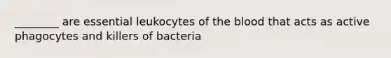 ________ are essential leukocytes of the blood that acts as active phagocytes and killers of bacteria