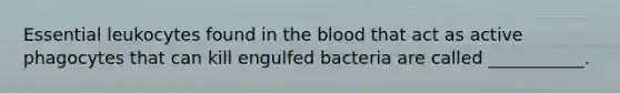 Essential leukocytes found in the blood that act as active phagocytes that can kill engulfed bacteria are called ___________.