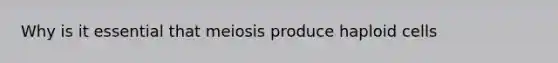 Why is it essential that meiosis produce haploid cells