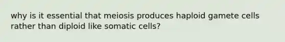 why is it essential that meiosis produces haploid gamete cells rather than diploid like somatic cells?