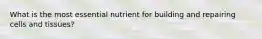 What is the most essential nutrient for building and repairing cells and tissues?