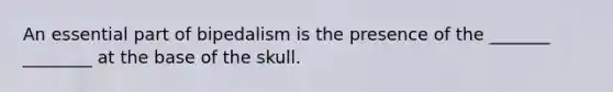 An essential part of bipedalism is the presence of the _______ ________ at the base of the skull.